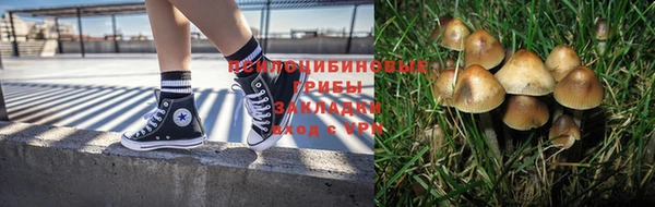 прущая мука Алзамай